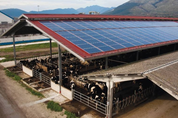 INGSTUDIO Ingegneria - Fotovoltaico 6 - Agricoltura